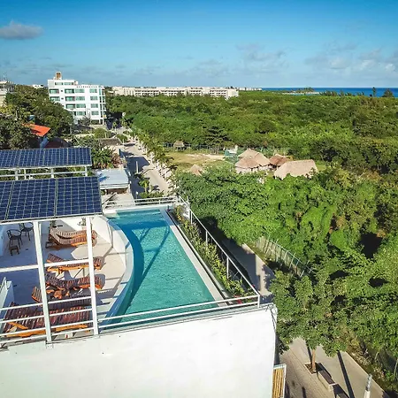 Ocean Zen Suites On 5Th Avenue - Adults Only-2